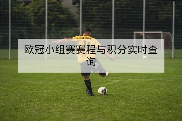 中超赛季中期转会后首发轮换预测